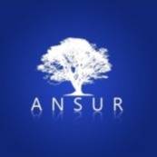 Distribuidora Ansur Ltda